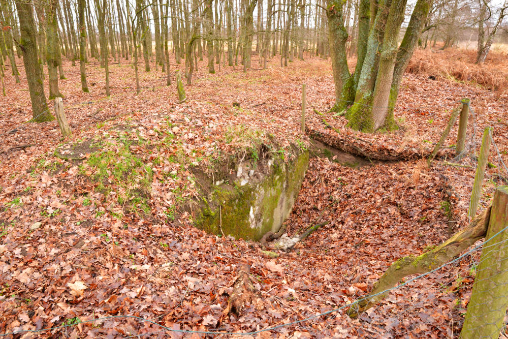 Ringstand 217 Niederkrüchten #1