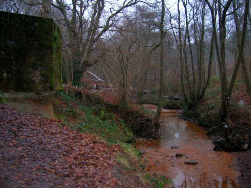 Pillbox FW3/24 Boars Head #2