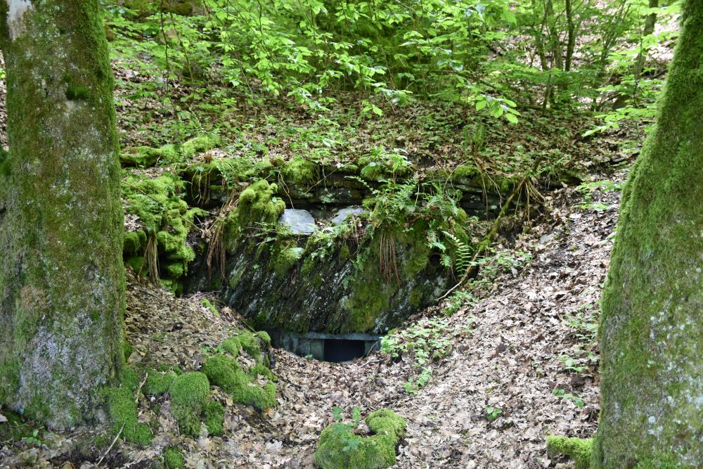 Betonnen Verdedigingswerken Devze-linie Bodange #4