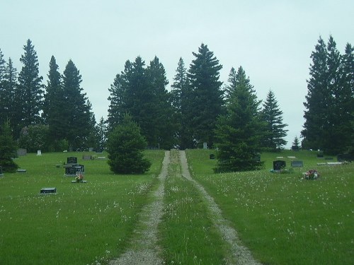Commonwealth War Grave Alexander Cemetery