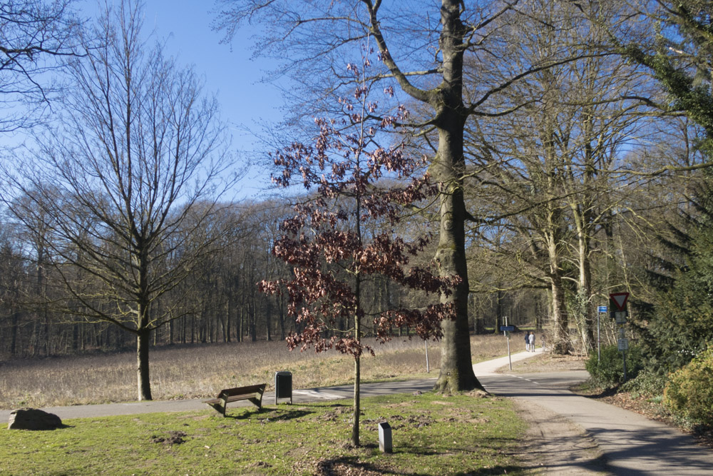 Herdenkingsboom Oosterbeek