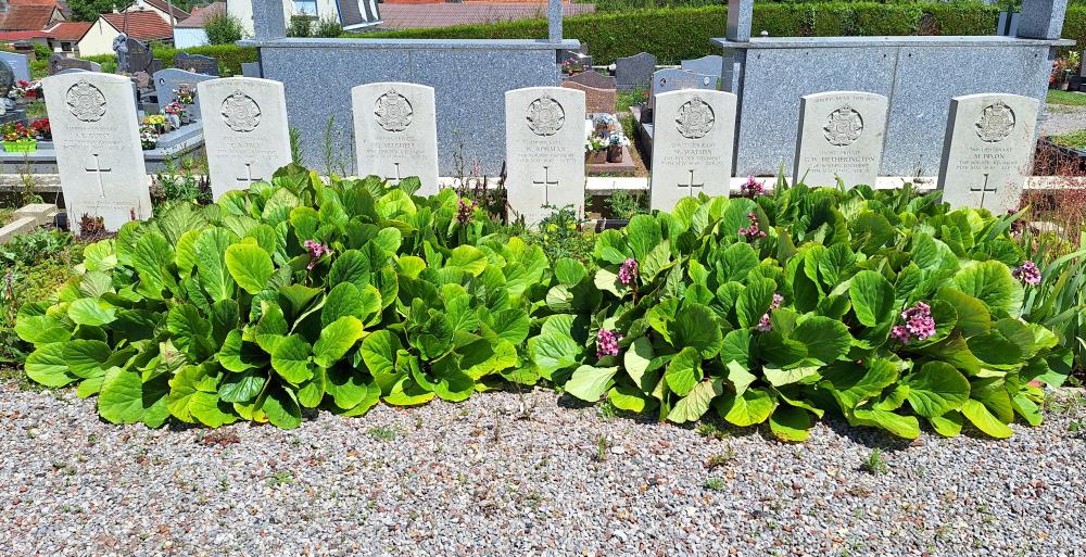 Commonwealth War Graves Ailly-sur-Somme #3