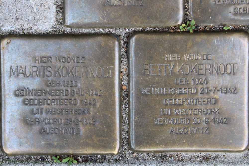 Stolpersteine Vrolikstraat 305 #3