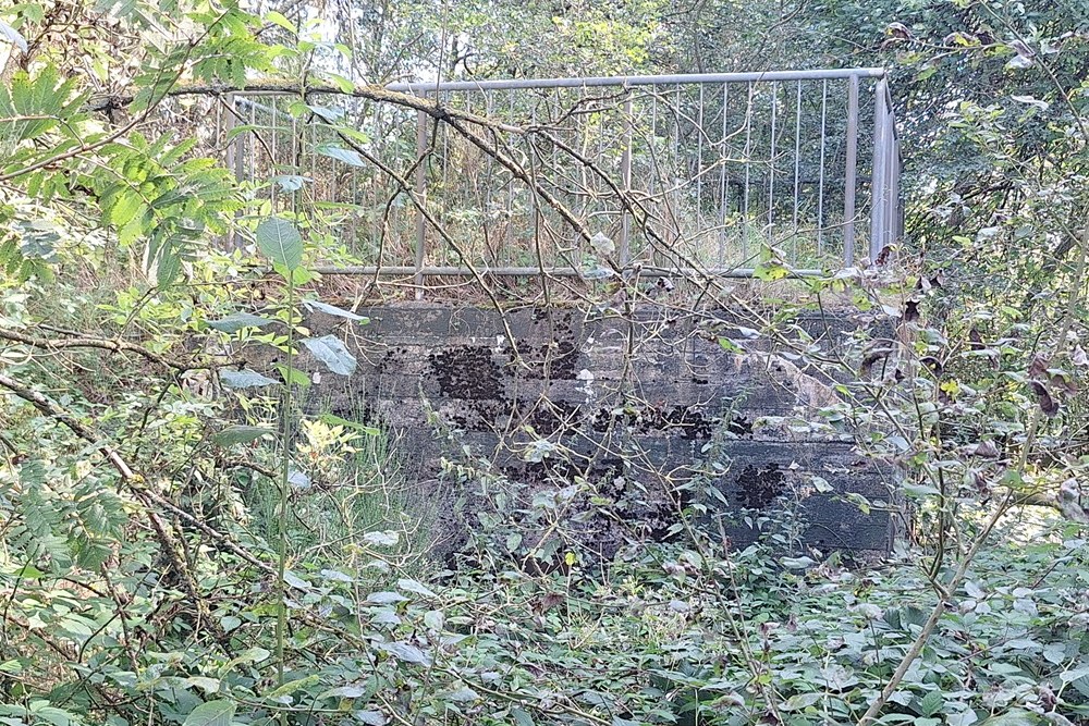 German Bunker Dahlem #3