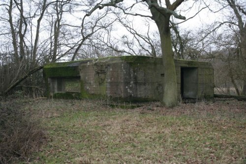 Bunker FW3/28 Tidmarsh