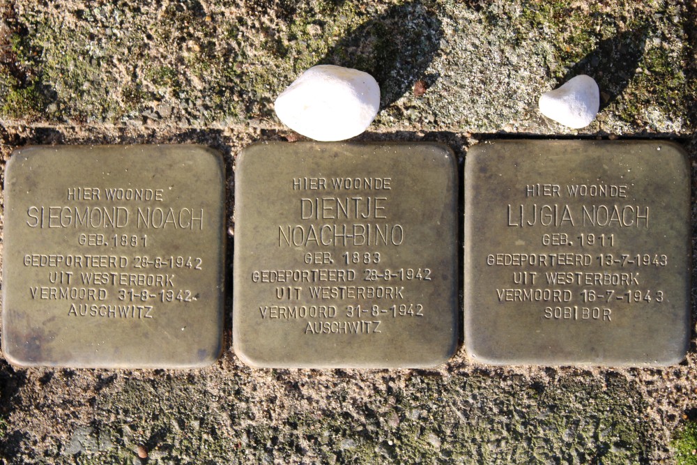 Stolpersteine Willem Arntszkade 35 #1