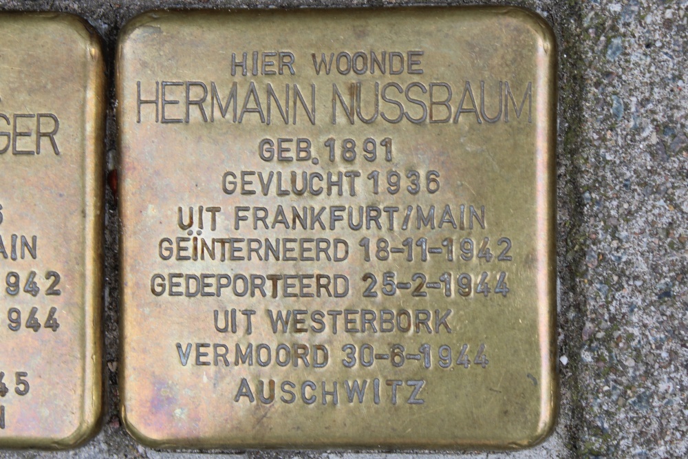 Stolpersteine Europaplein 121 #3