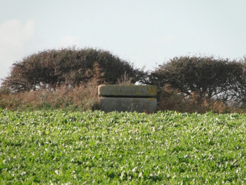 Suffolk Square Bunker Benacre #3