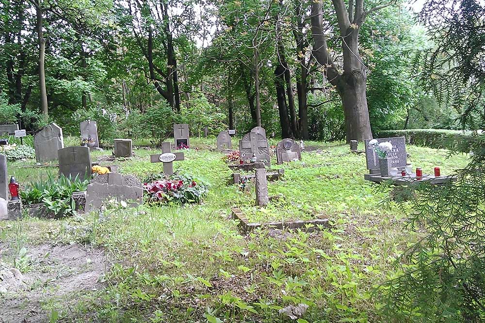 Graves Veterans Russian Civil War