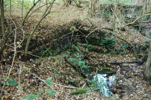 Remains German Mortar Bunker Groeneburg Wood