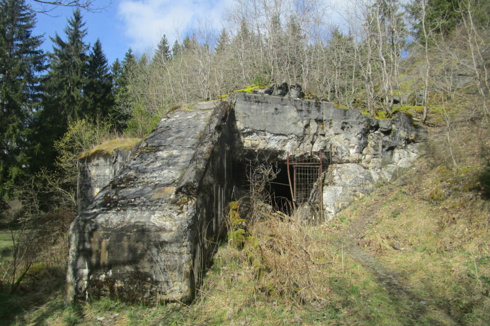 Westwall - Bunker 121a #2