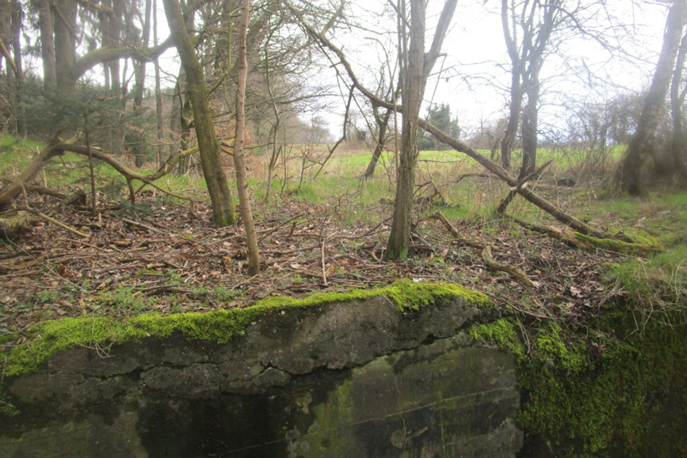 Westwall - Bunkerrestanten #2