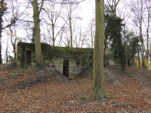 Bunker 10 Sttzpunkt Brnhild 'Park Toorenvliedt'