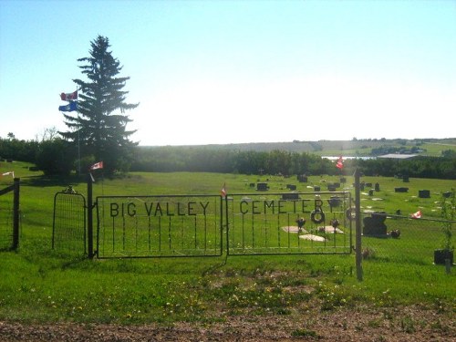 Oorlogsgraf van het Gemenebest Big Valley Protestant Cemetery