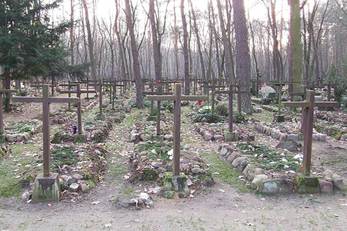 Graven Poolse Oorlogsveteranen Begraafplaats Laski