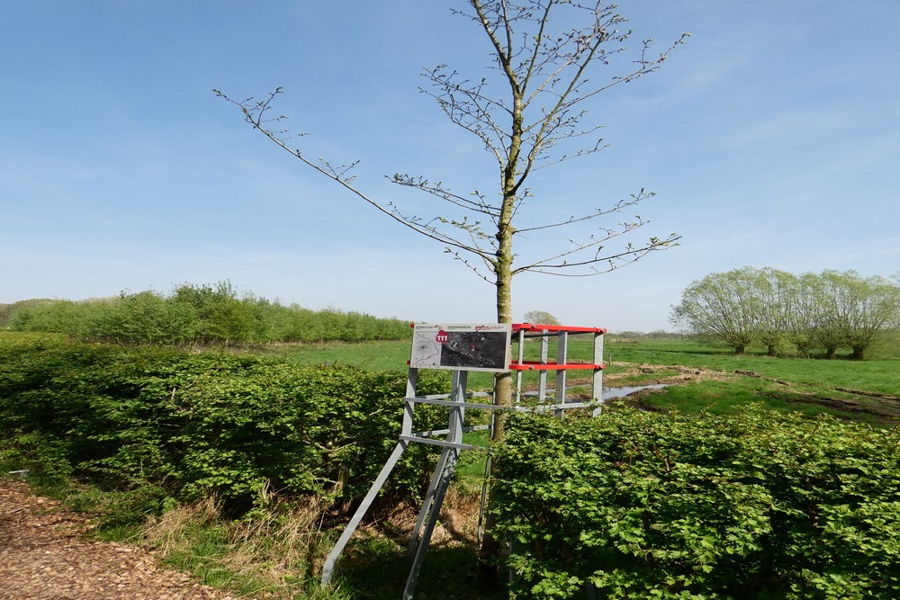 Herdenkingsbomen Frontlijn Zillebeke #3