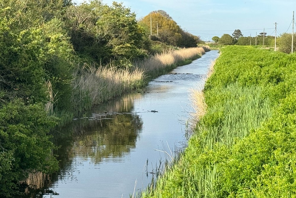 Royal Military Canal #1