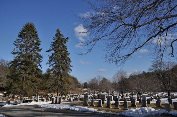 Oorlogsgraf van het Gemenebest Blossom Hill Cemetery