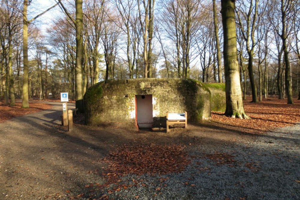 Stellung Antwerpen - Bunkers