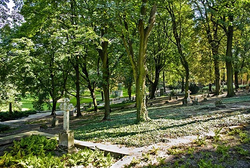 Graves Polish Veteran Graves