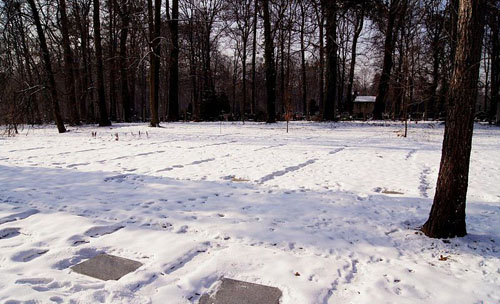 Sovjet Oorlogsbegraafplaats Pszczyna