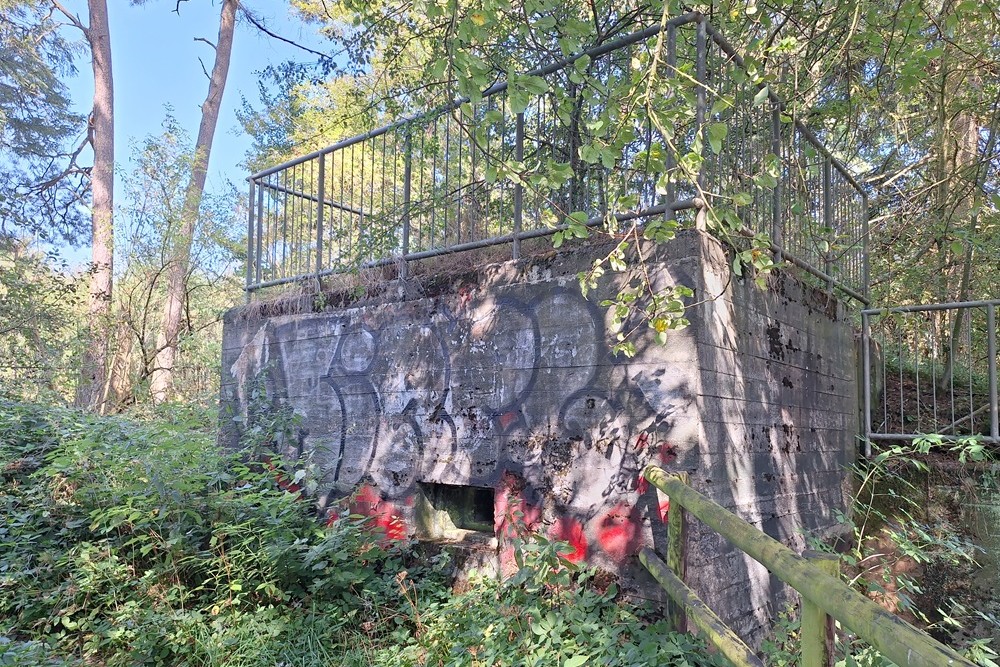 Duitse Bunker Dahlem #4