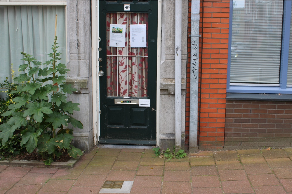 Stolpersteine Vrolikstraat 36 #4