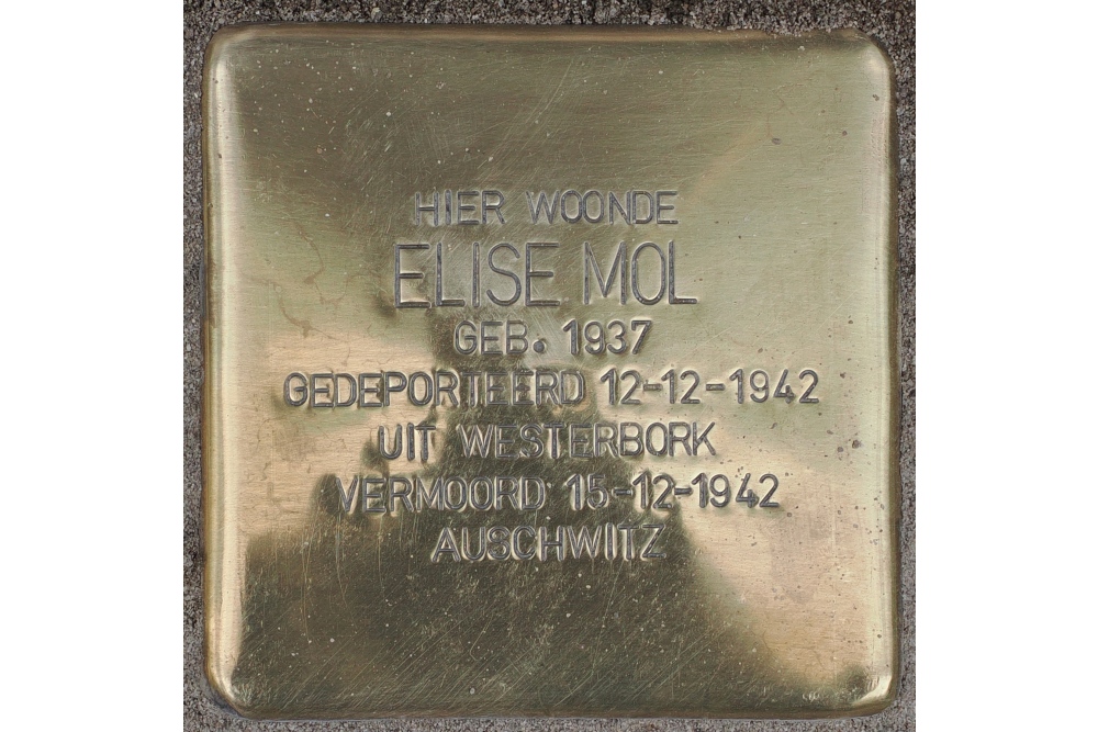 Stolpersteine Hofstraat 12 (destijds Hofstraat 7) #4