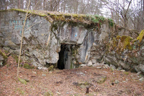 Pommernstellung - Remains Bunker Borne Sulinowo