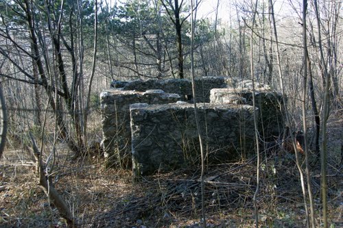 Alpine Wall - Pillbox Rijeka #2