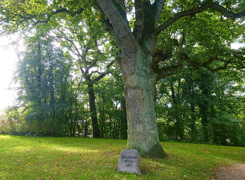 Peace Oak Ltjenburg