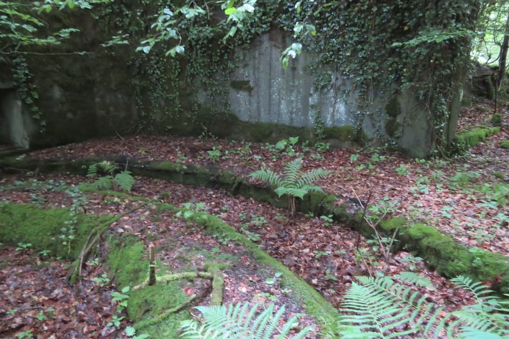 Maginot Line - Eichwald Gun Emplacement N #5