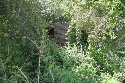 Pillbox FW3/24 Newbridge #3