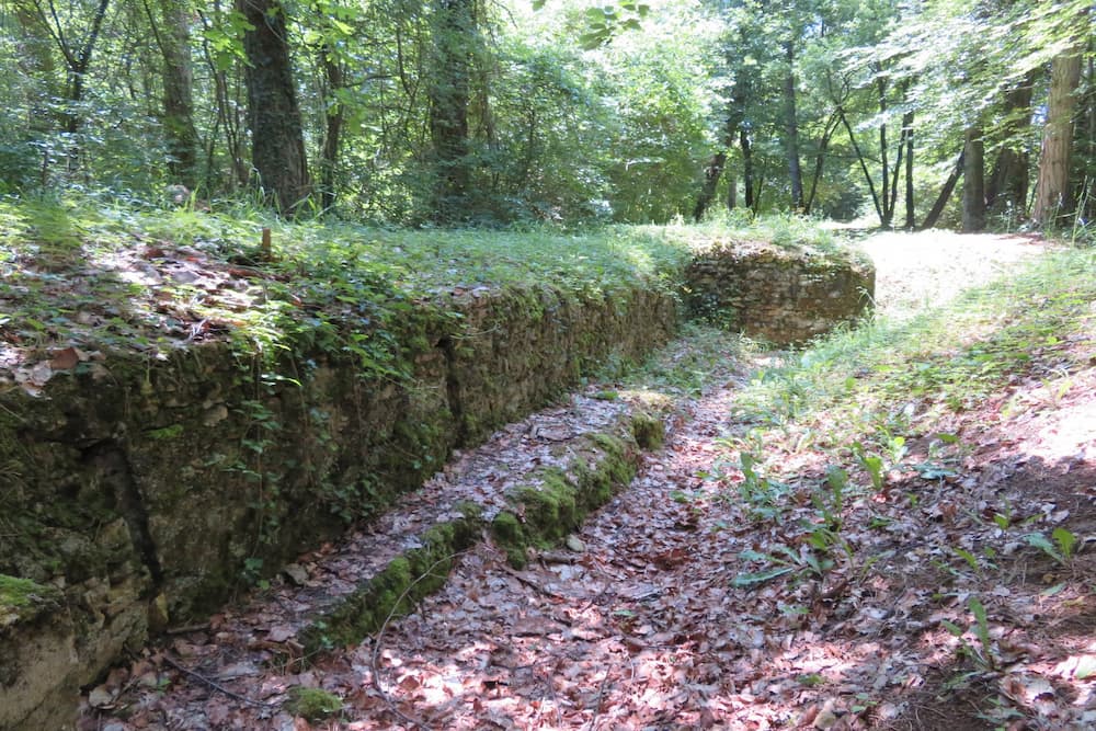 Trenches Des Oiseaux Saint-Baussant #4