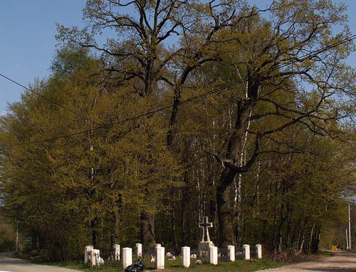 Austrian-Russian War Cemetery No.376