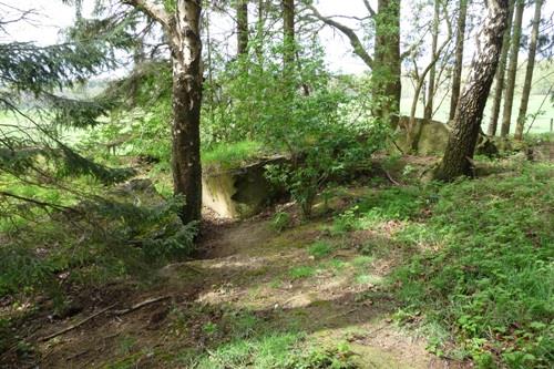Gesloopte Bunker Propsteier Wald
