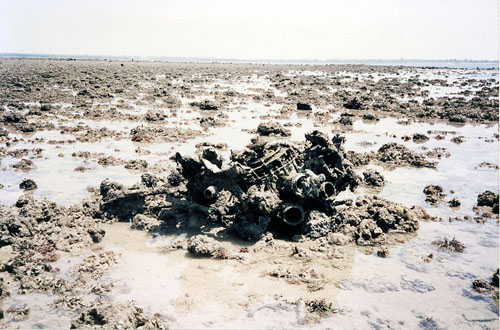 Crash Site & Remains Dutch B25 Mitchell Bomber Nightcliff