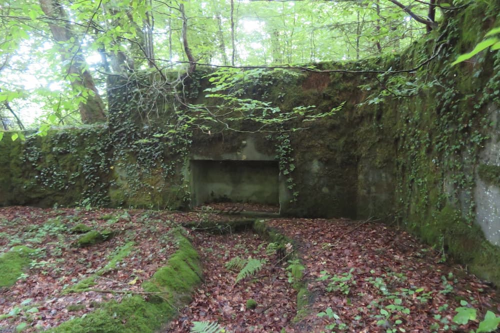 Maginot Line - Eichwald Gun Emplacement N #2