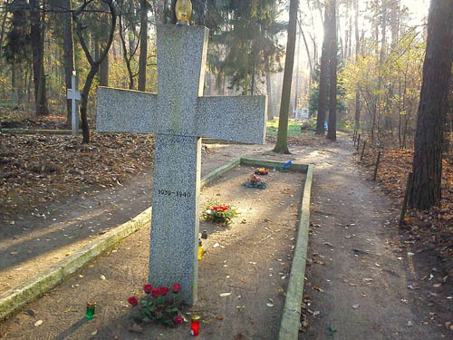 Cemetery Victims National Socialism Zakrzewo