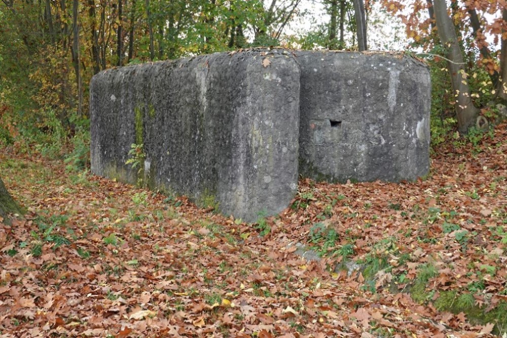 Bunker Canal Albert Eigenbilzen
