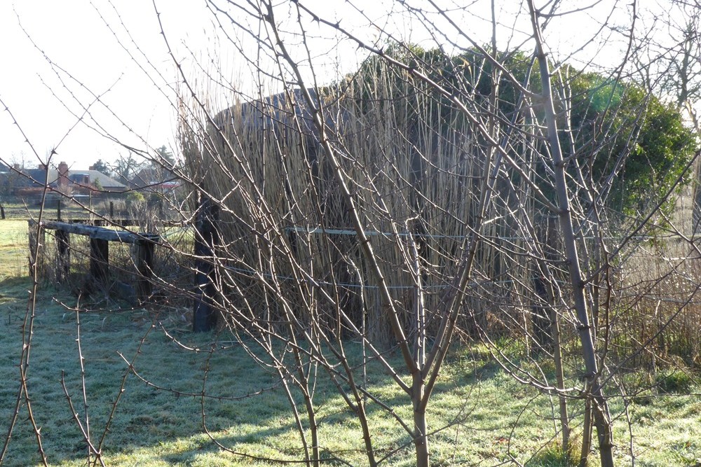 Bunkergordel Bruggenhoofd Gent - Voorliniebunker AV13 #5