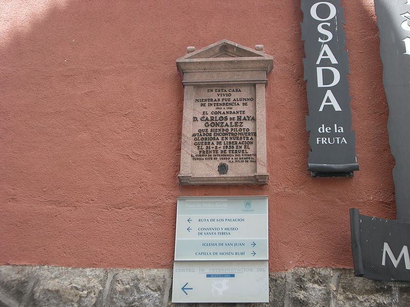 Monument D. Carlos de Haya Gonzalez