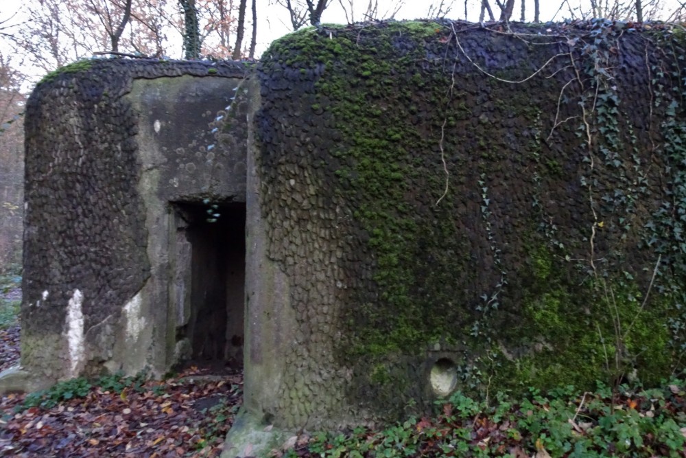 Bunker A22 Bis Oelegem
