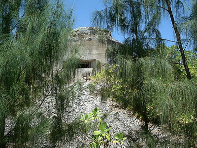 Fortifications Wake Island
