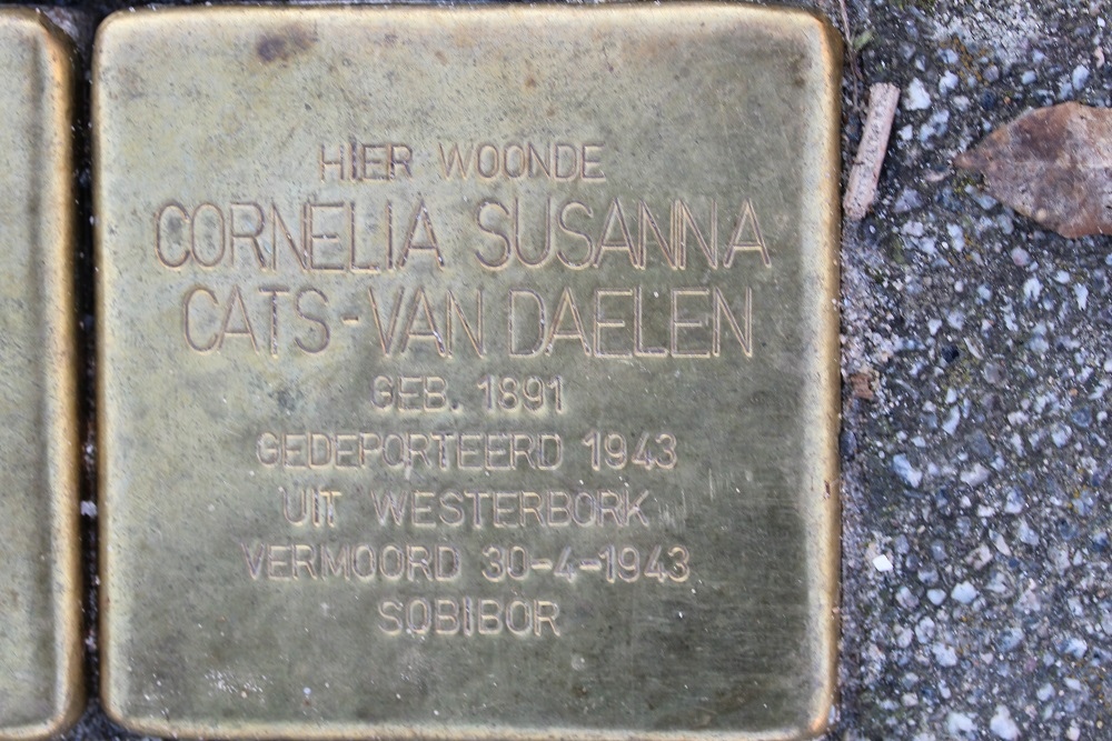 Stolpersteine Schermlaan 34 (voormalig) #3