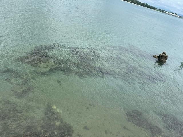 Japanese Landing Barges Wewak #3