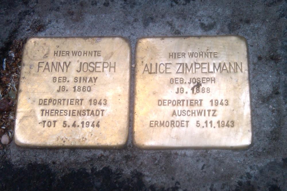 Stolpersteine Niederwaldstraße 8 #1