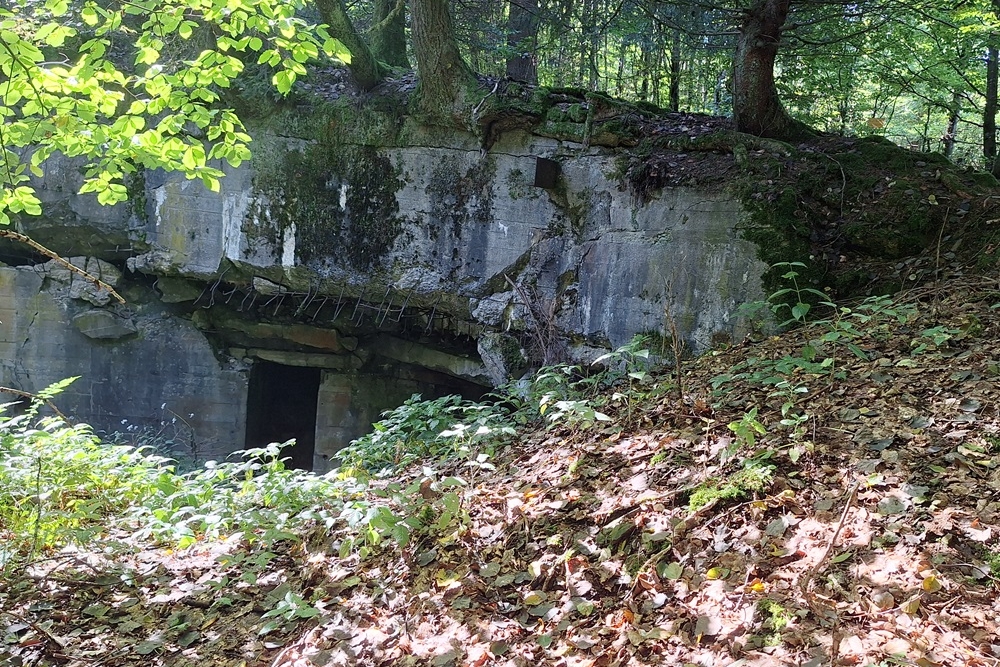 Duitse Bunker Hollerath #2