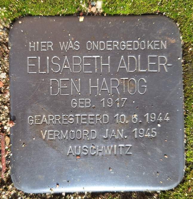 Stolpersteine Dorpsstraat 77 #3