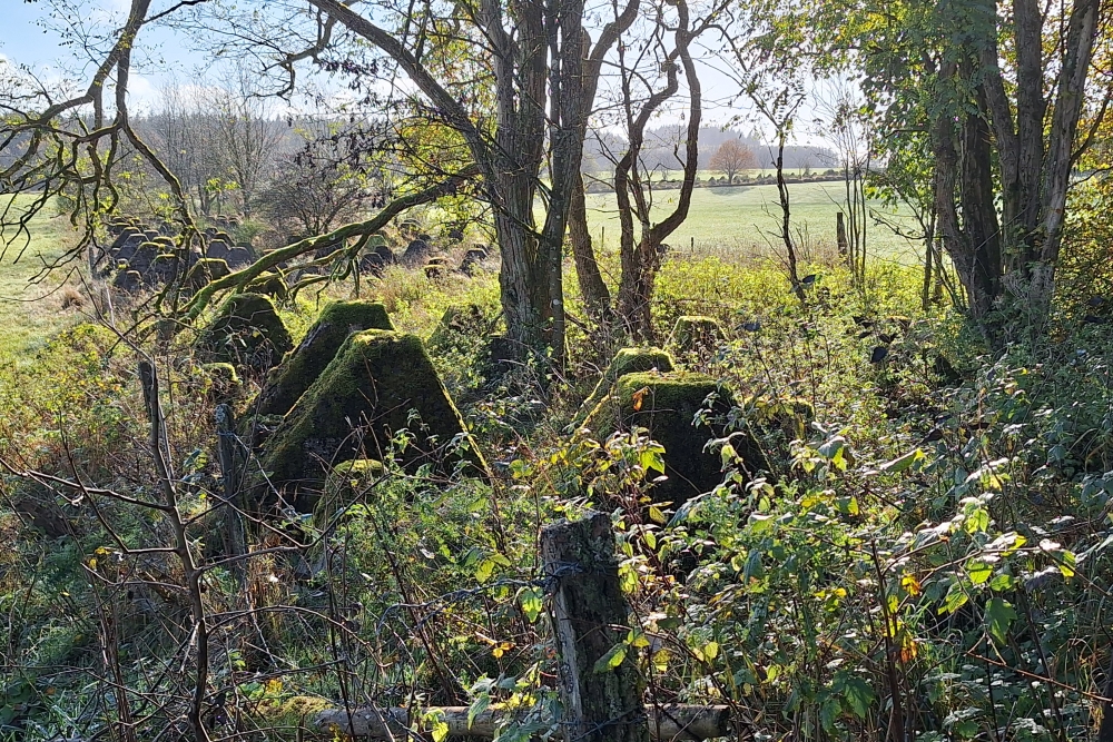 Westwall - Tank Barrier Hollerath #4